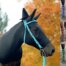 horse costume witch with striped socks