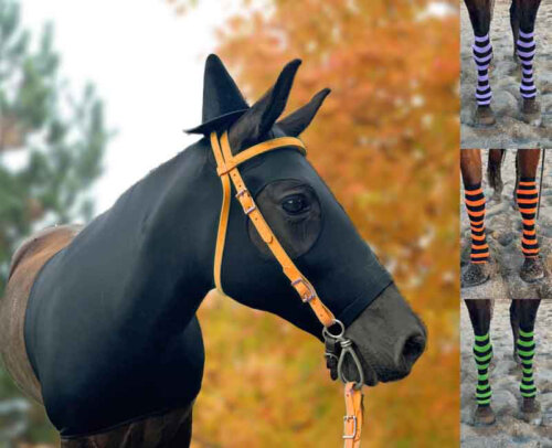 witch horse with hat and striped socks