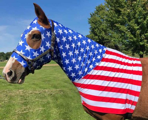 stars and stripes sleezy