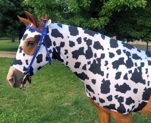 Horse costume cow side view