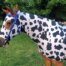 horse costume black and white cow