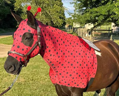 red with black dot costume comes with antennae and wings