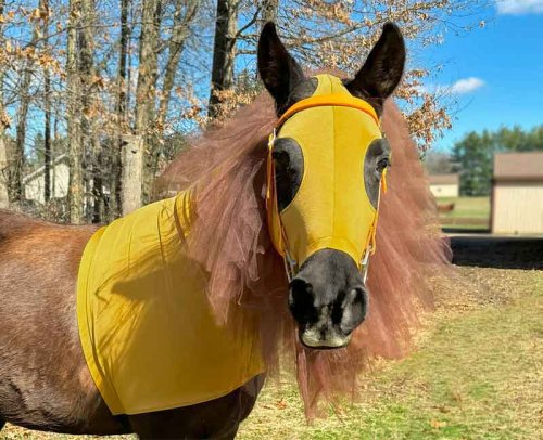 horse costume lion with tulle mane and matching tail