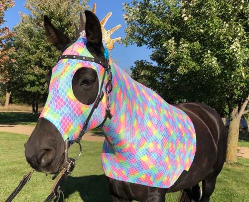 mermaid costume with colorful print sleezy and golden crown