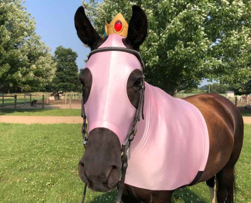 lt Pink Princess Peach costume with crown