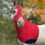 horse costume in red spider web spandex