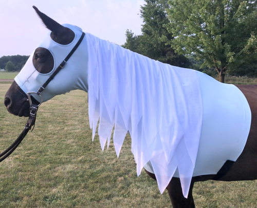 ice blue sleezy with a white flowing mane