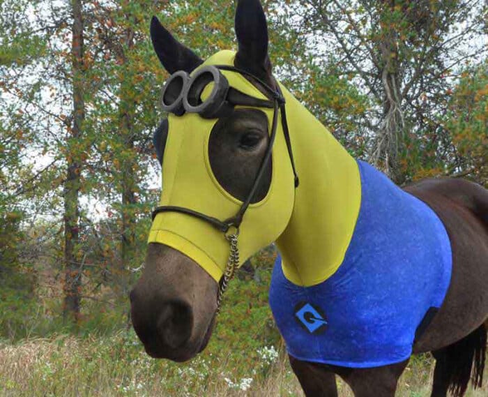 costume for horses minion comes with goggles and chest logo