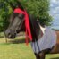 horse costume pirate with red head sash and black and white striped vest