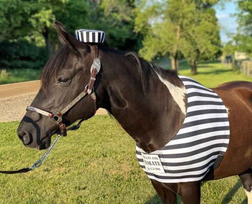 black & white striped prisoner costume showing cap and inmate number