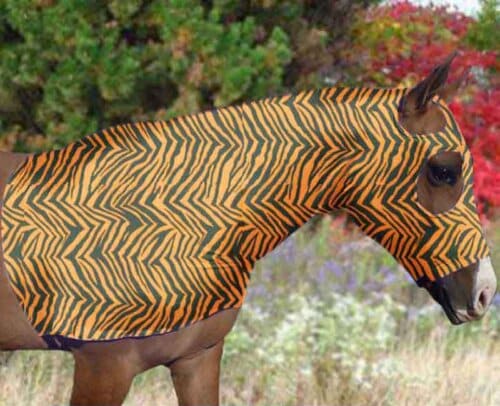 horse costume sleazy in black and orange tiger print