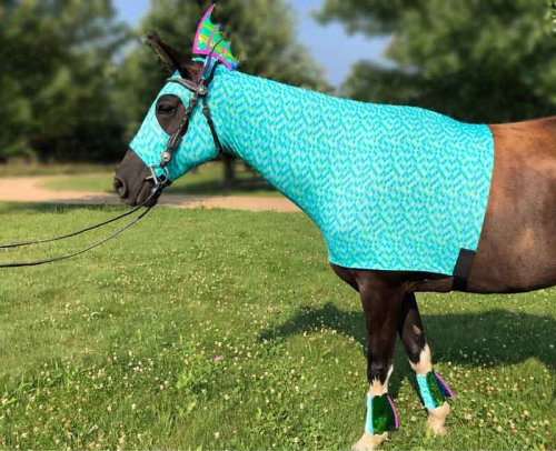 teal seahorse costume