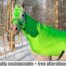 grinch horse costume side view