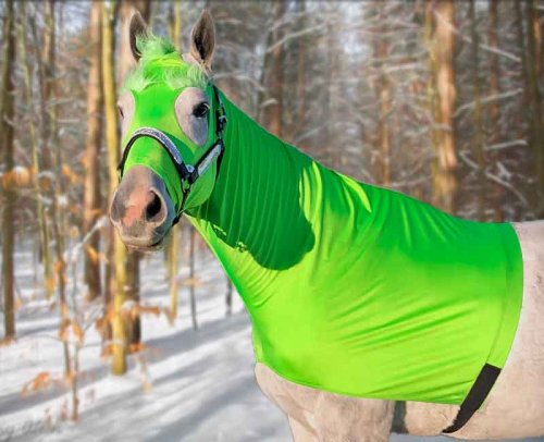 lime green grinch costume with furry eyebrows and top knot between ears