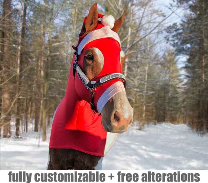 horse wearing Santa costume front view
