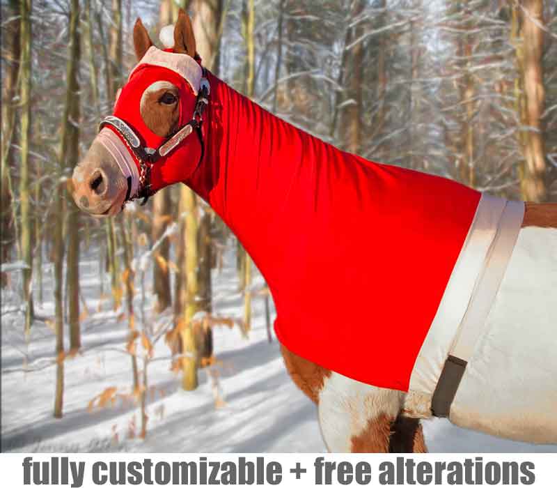 Horse Costume Santa Side 1 