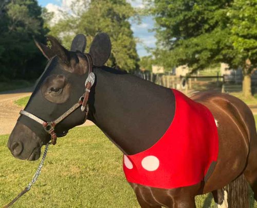 horse costume mickey mouse with ears and red chestie with white buttons