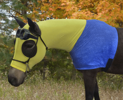 horse costume - minion comes with goggles and chest logo