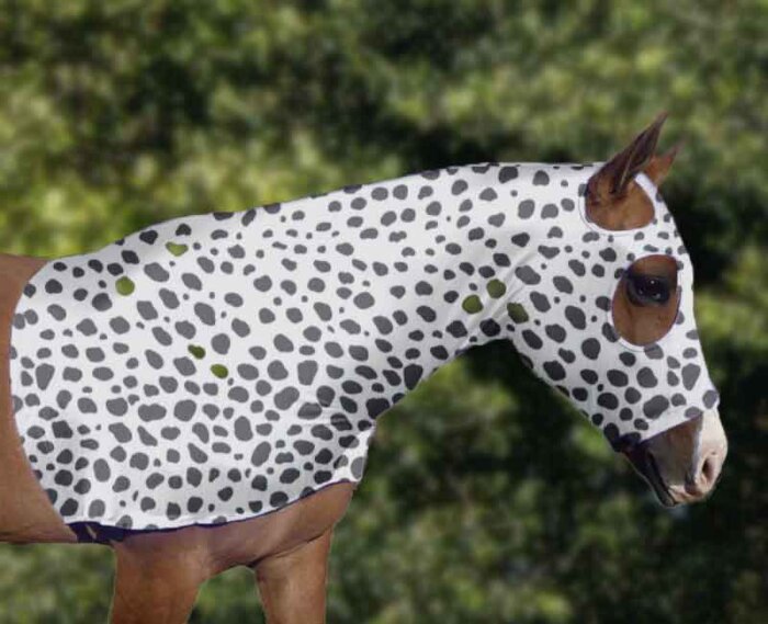 dalmatian dog costume for horses