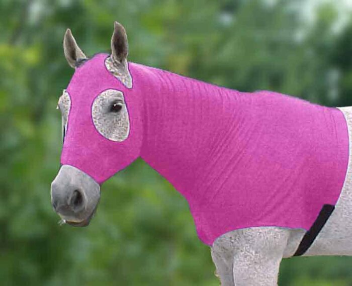 pony wearing hot pink horse sleazy