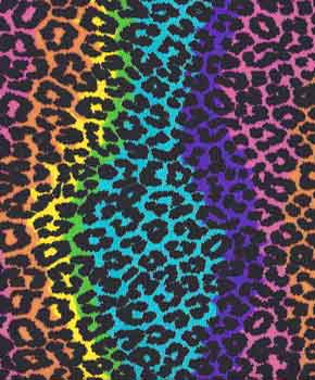 rainbow colors leopard print lycra