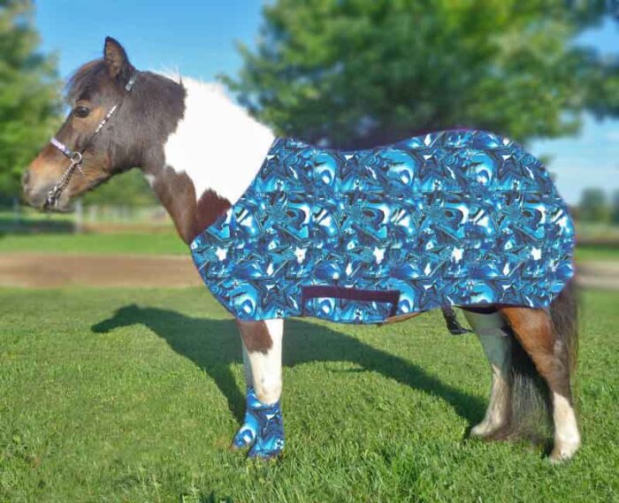 miniature horse wearing lycra body suit in icy blue stars print