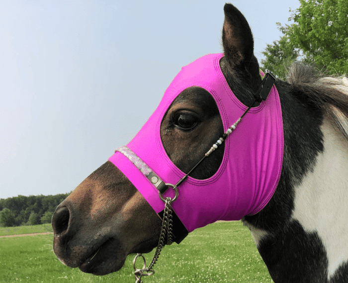 miniature horse sleazy mask in hot pink
