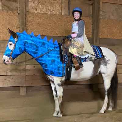 dragon costume for horses in blue