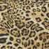 leopard print spandex