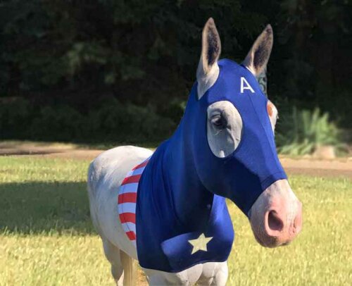 captain america horse costume front view