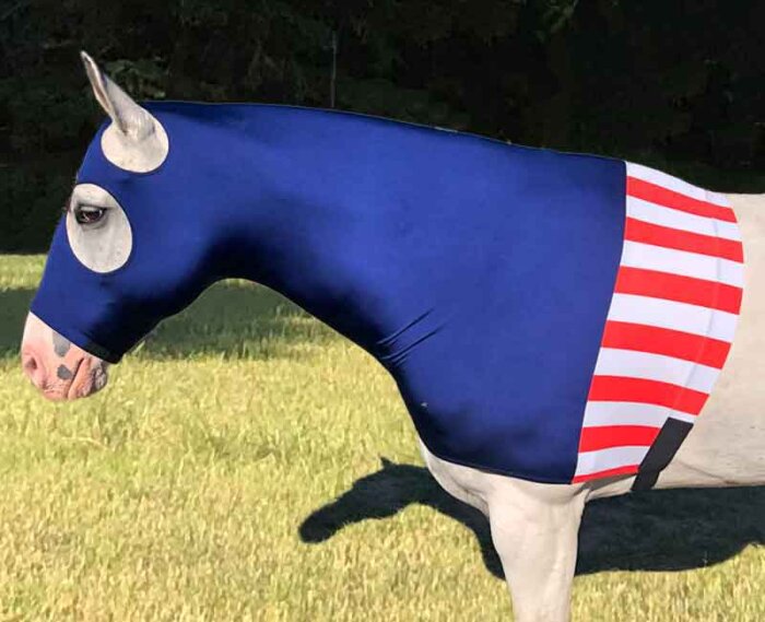 captain america horse costume side view