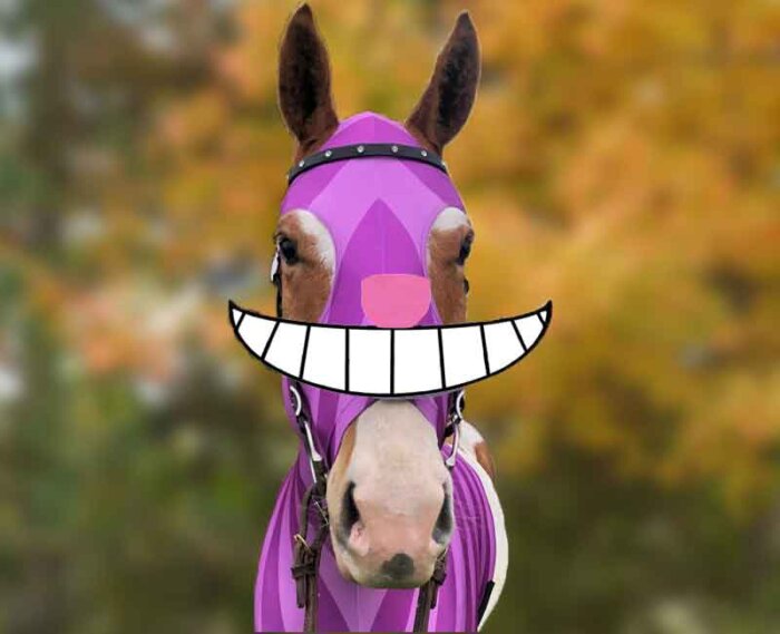 Cheshire Cat horse costume in pink and purple stripes. Download the free printable smile