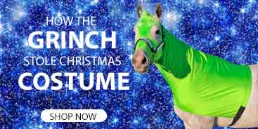 horse wearing a grinch costume