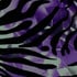 purple, black & white zebra design