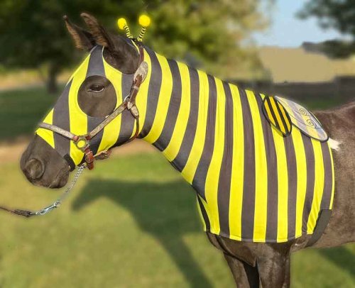 horse dress as a beef with antennae and wings