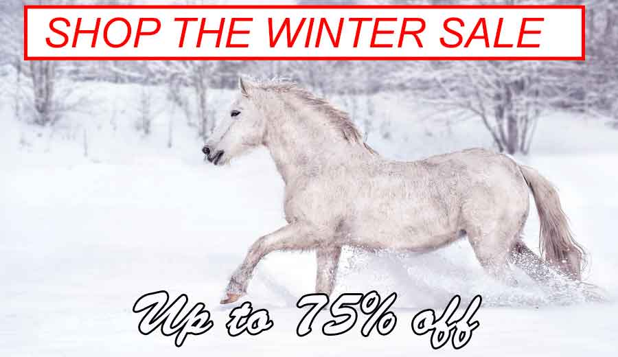 white horse running in snow