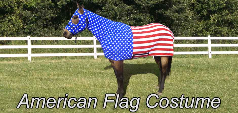 american flag horse costume