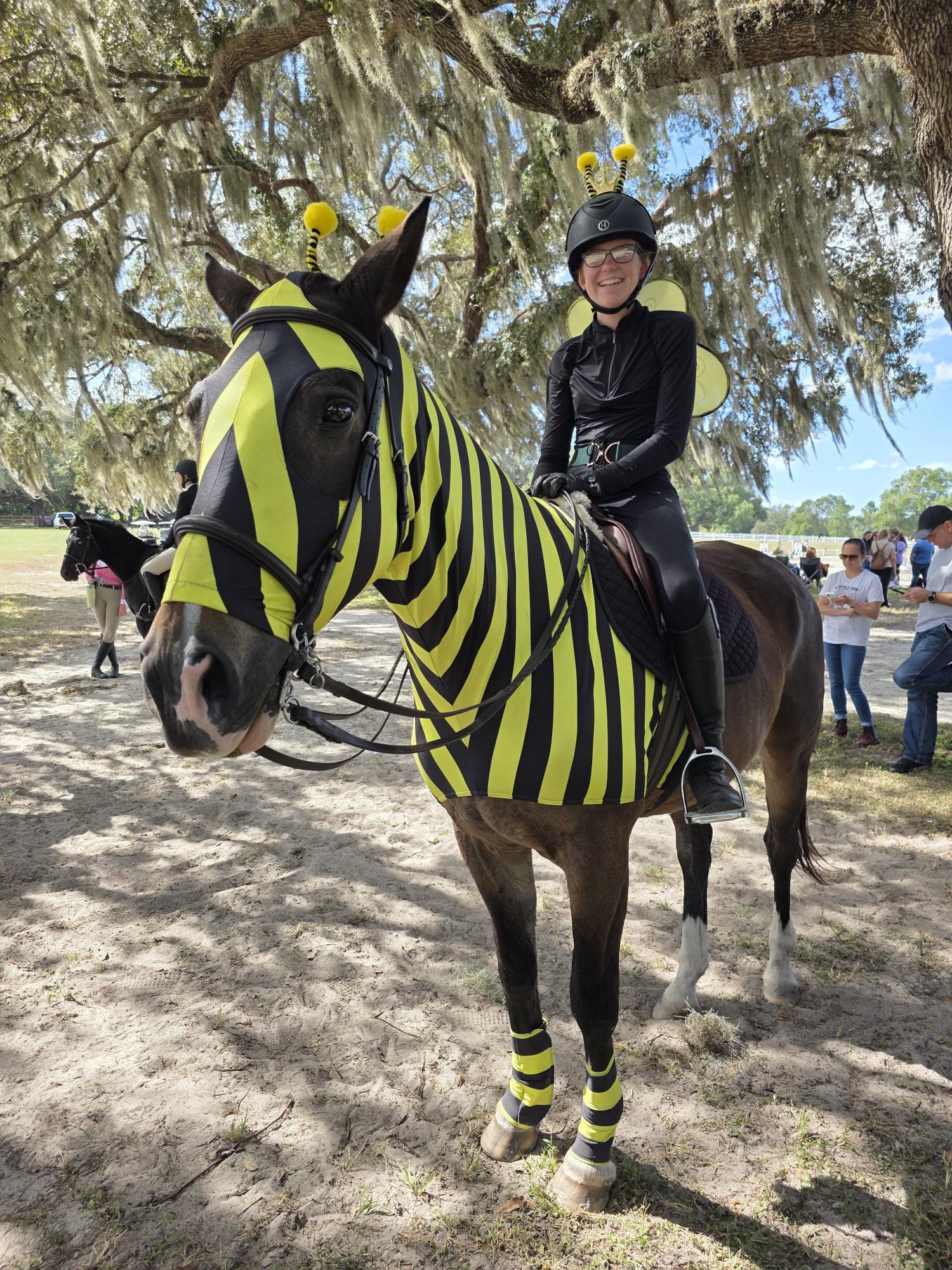 1000017466 horse wearing bee costume