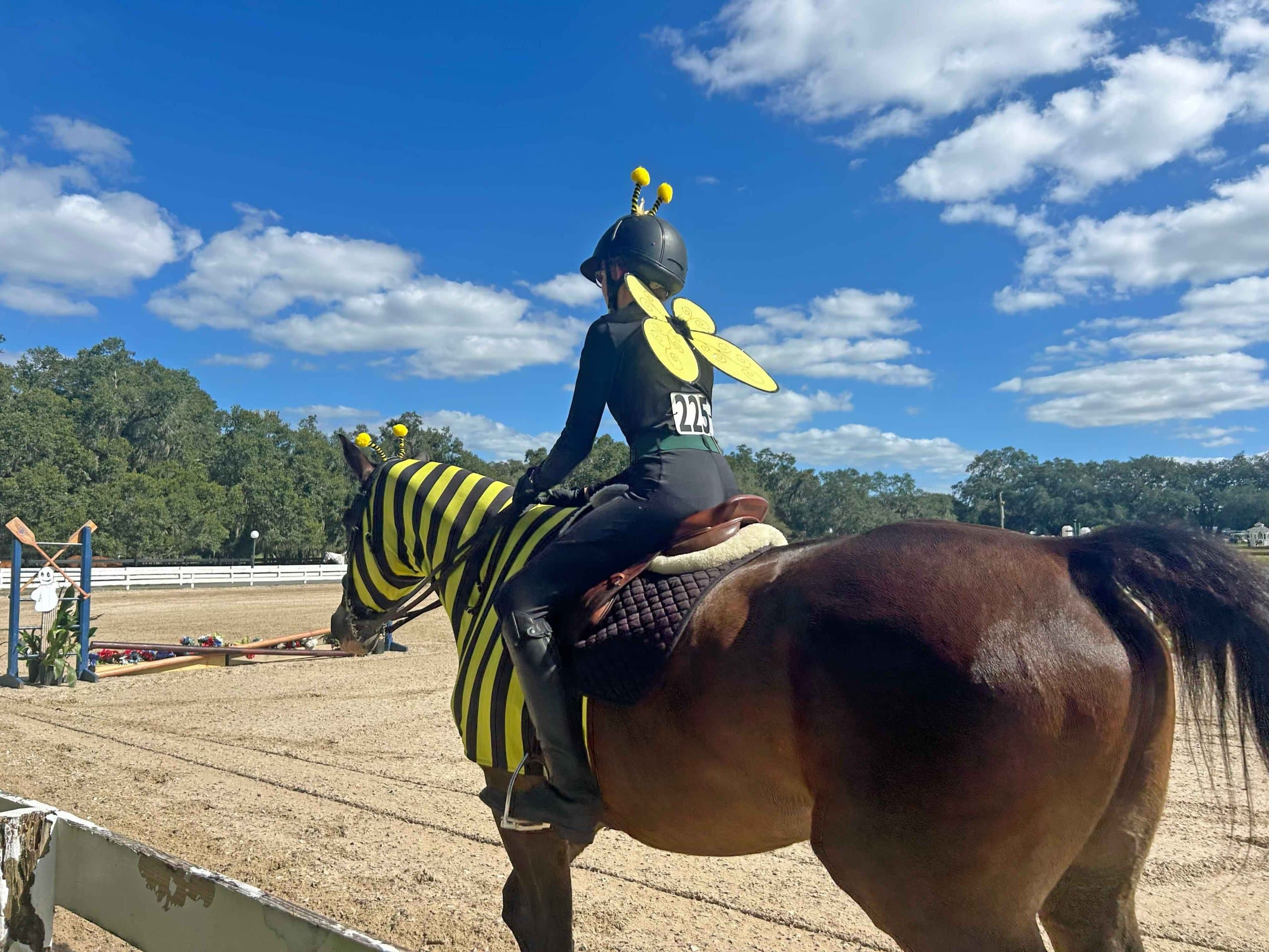 1000017569-(5) horse and rider dressed in bee costumes