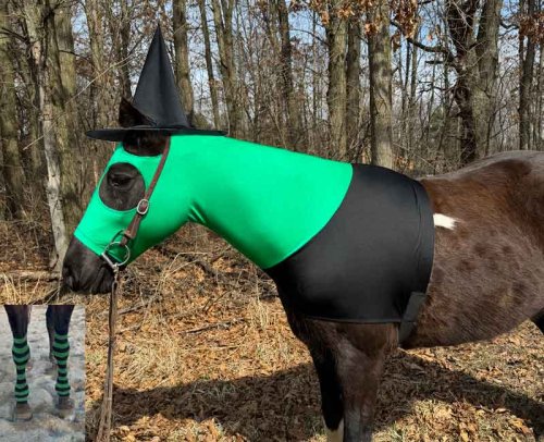 wicked witch of the west horse costume with green and black striped socks