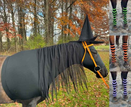 witch costume with spooky mane. comes with striped witch socks