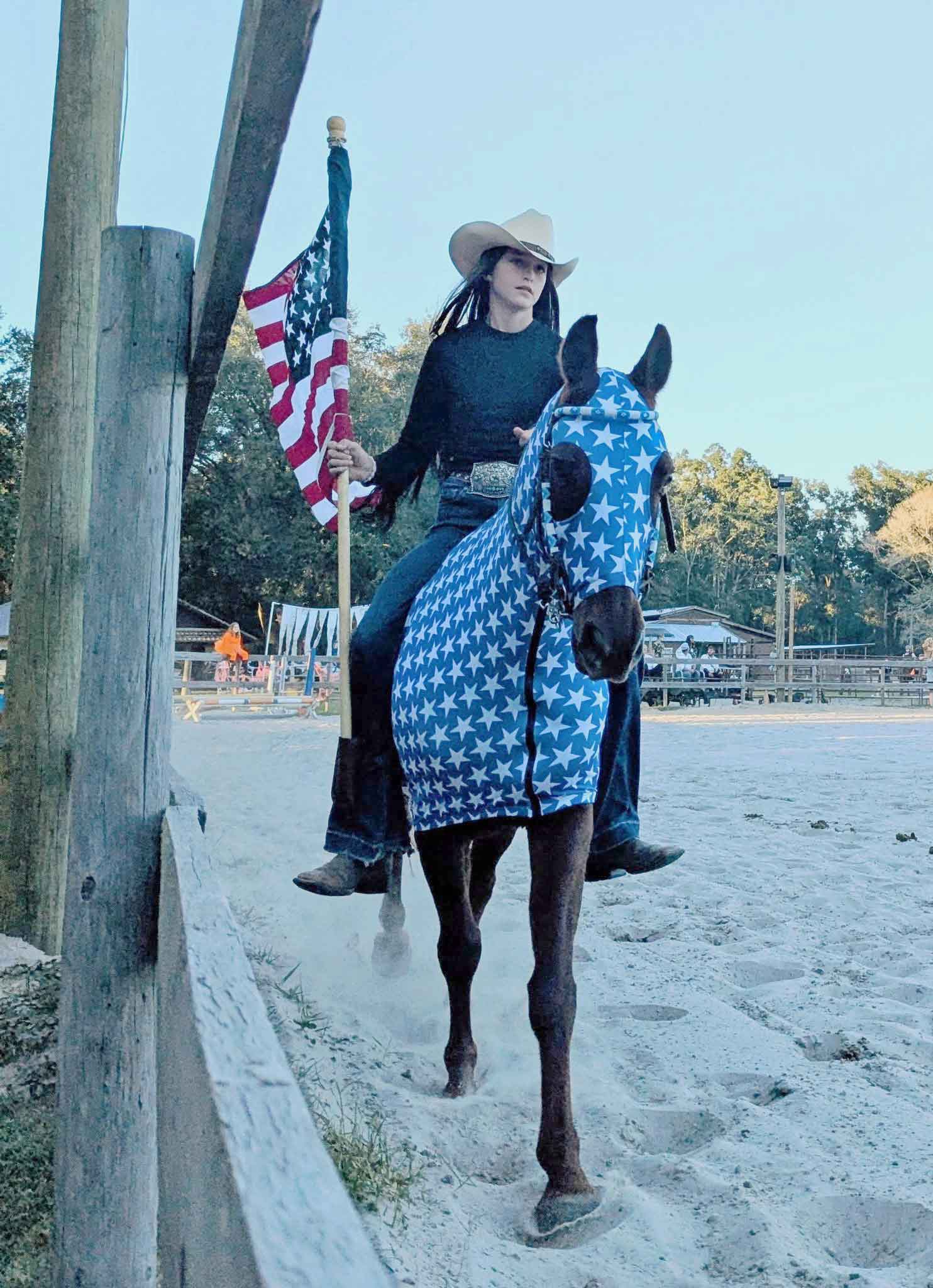 customer-american-flag-10-25 horse wearing american flag costume