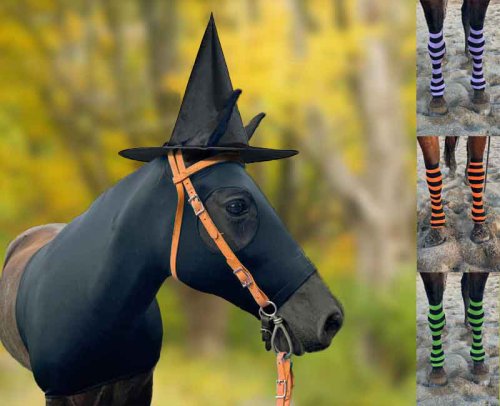 horse wearing witch hat. comes with striped witch stockings